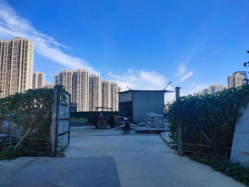 即墨金科弘阳二期交房最新爆料,品质生活即将启幕 第3张 即墨金科弘阳二期交房最新爆料,品质生活即将启幕 第3张