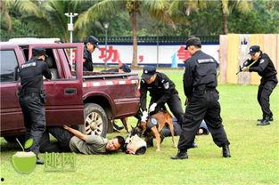 超级对抗最新爆料视频,揭秘神秘势力内幕