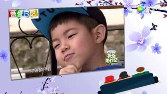 娱乐新闻大爆料标题,大爆料背后的惊人真相  第1张