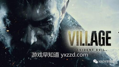 骇客生存最新爆料视频,揭秘顶级黑客的生存法则与实战技巧  第3张